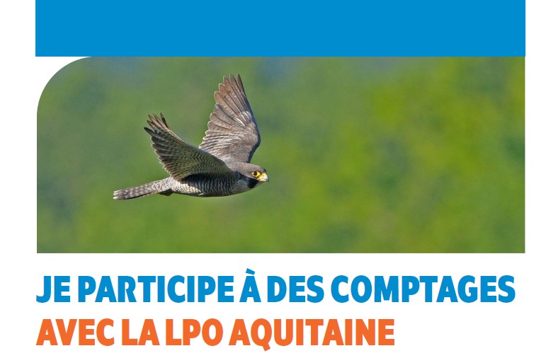Calendrier comptages LPO Aquitaine 2026